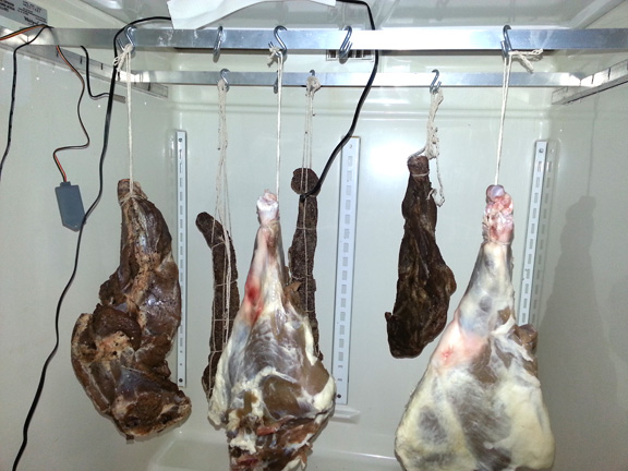 How to Convert a Refrigerator for Curing Meat or Aging Cheese – Ben ...